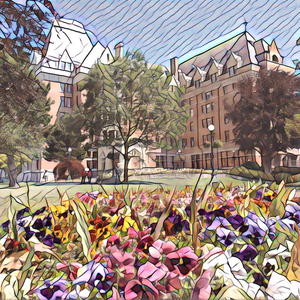 日本我与子乱视频无删减版
